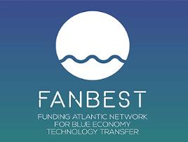 FANBEST launches a coaching service for SMEs
